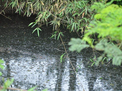 深圳水質檢測