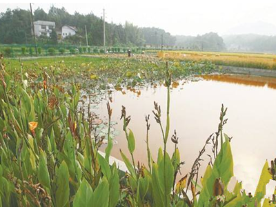 深圳水質(zhì)檢測